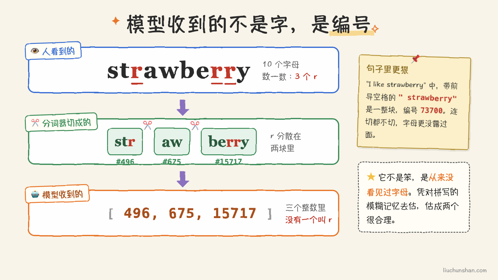 模型收到的不是字,是编号:人看到 10 个字母 3 个 r,分词器切成三块,模型拿到三个整数,里面没有一个叫 r